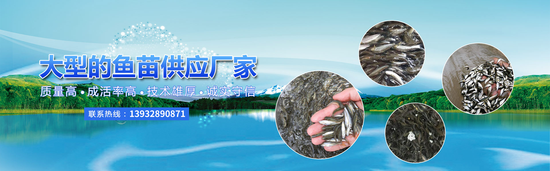 ˮAԴOI(y)B(yng)ֳ޹˾